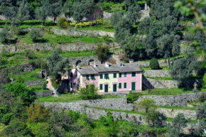 Villa Olivari - apt il Melograno